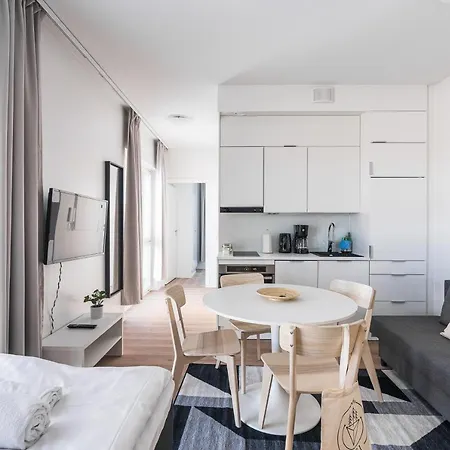 Hiisi Homes Fatabuurinkatu * 투르쿠