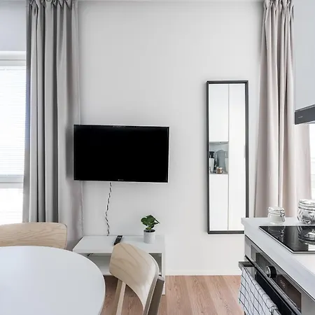 Hiisi Homes Fatabuurinkatu * 투르쿠