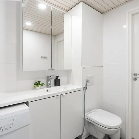 Hiisi Homes Fatabuurinkatu * 투르쿠