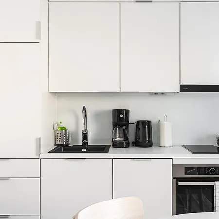 Hiisi Homes Fatabuurinkatu * 투르쿠